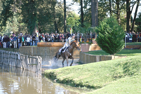 caballo anglo arabe