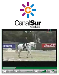 Canal Sur