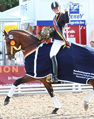 lissaro caballo hanoveriano