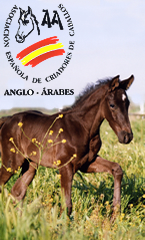 seguros caballos