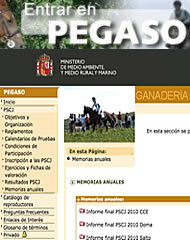 Pegaso