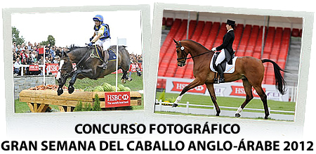 CONCURSO FOTOGRAFCICO