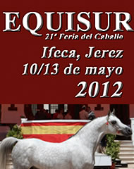 equisur