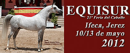 equisur