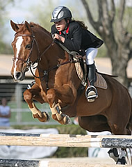 poni salto concurso