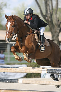 poni salto concurso