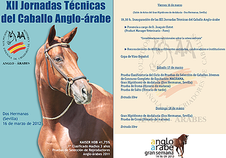 jornadas caballo anglo-arabe