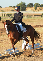 Gran Semana Caballo Anglo-arabe