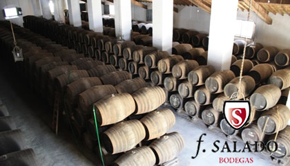 Bodegas F Salado