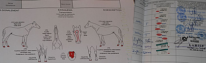 documento de identificacion