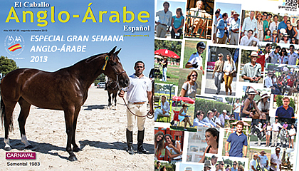 revista caballo anglo-arabe