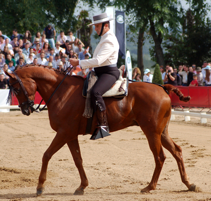 Iran de Cavaignac