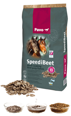 Pavo SpeediBeet