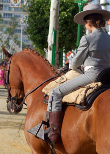 Anglo-arabes en la feria de abril