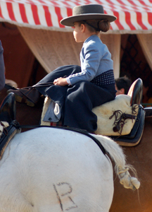 Anglo-arabes en la feria de abril