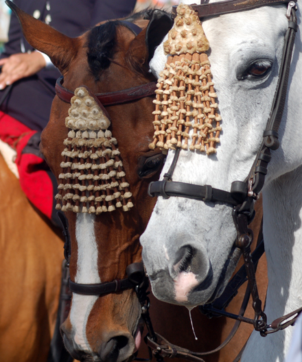 Anglo-arabes en la feria de abril