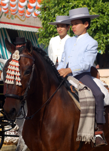 Anglo-arabes en la feria de abril