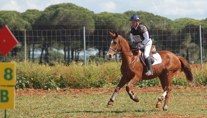 Bahia verde