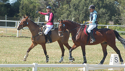 caballos jovenes completo