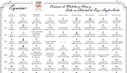 Cuadro de Méritos Equisur Ediciones 2005-2014