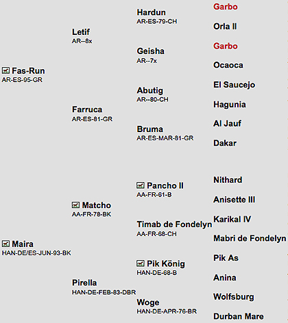 Jas-run genealogia