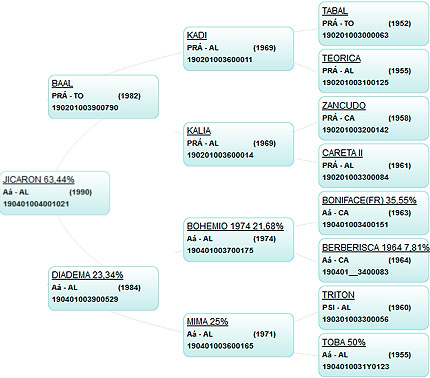 Genealogia Jicaron