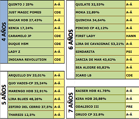 clasificados final PSCJ CCE