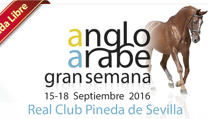 gran semana anglo arabe