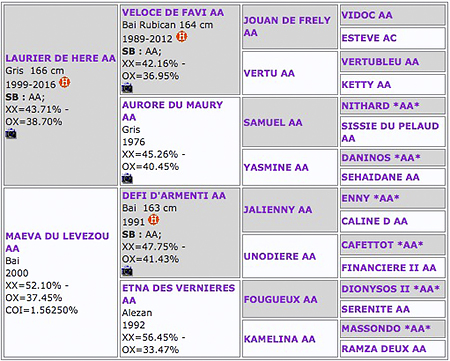 VASNUPIED DE JONKIERE