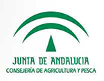 junta andalucia