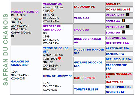 Safran du Chanois