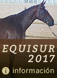 equisur