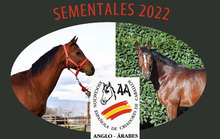 Sementales AECCAá 2024