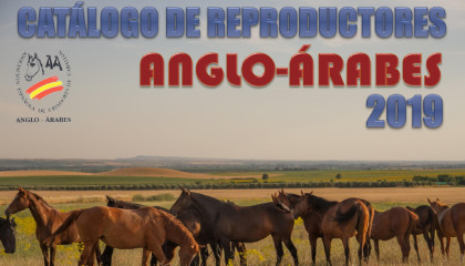 Catálogo dereproductores AÁ