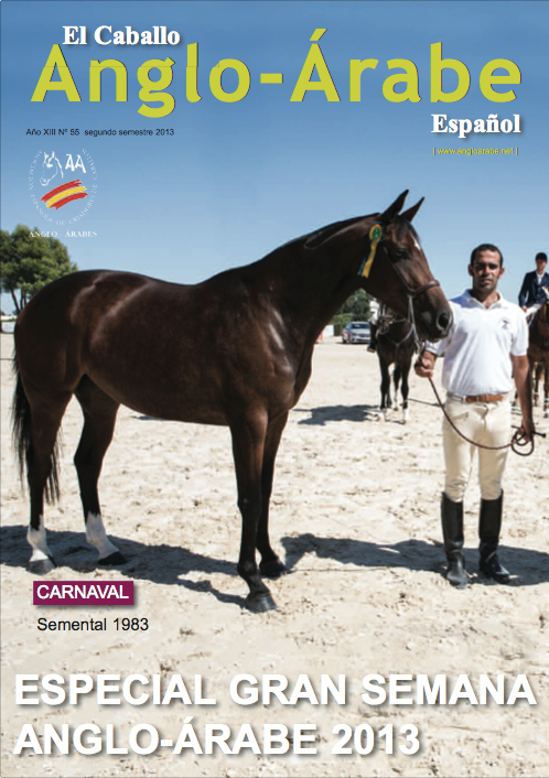 revista caballlo anglo-arabe 55