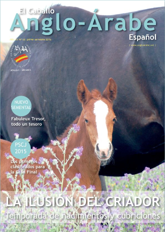 revista caballlo anglo-arabe 58