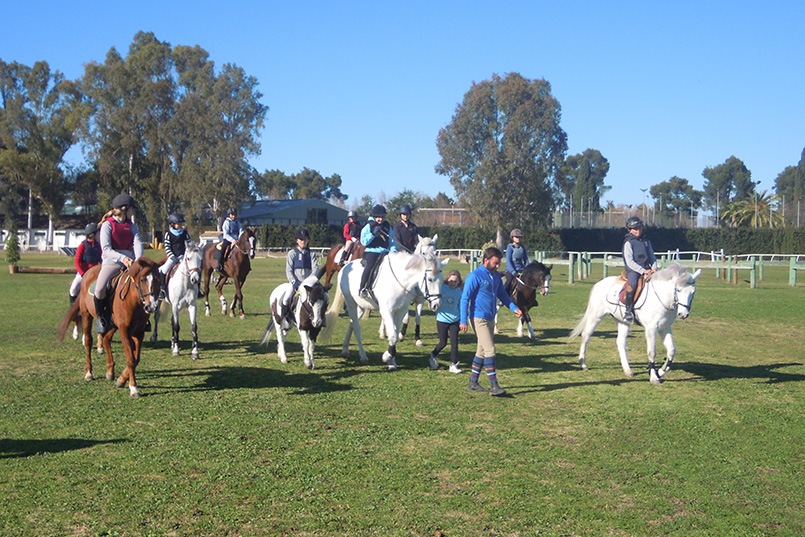 Clinic Pineda Diaz