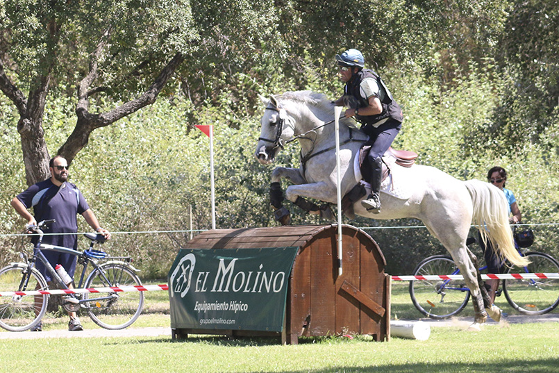 Pruebas de Selección de Caballos Jóvenes de Concurso Completo de Equitación