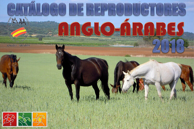 catalogo de reproductores anglo-arabes