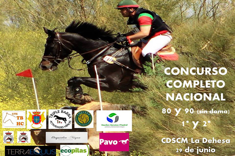 pscj-cce-la-dehesa-junio