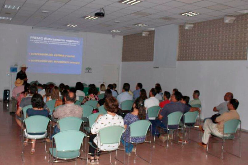 formacion gratuita en la gran semana anglo-arabe de sevilla