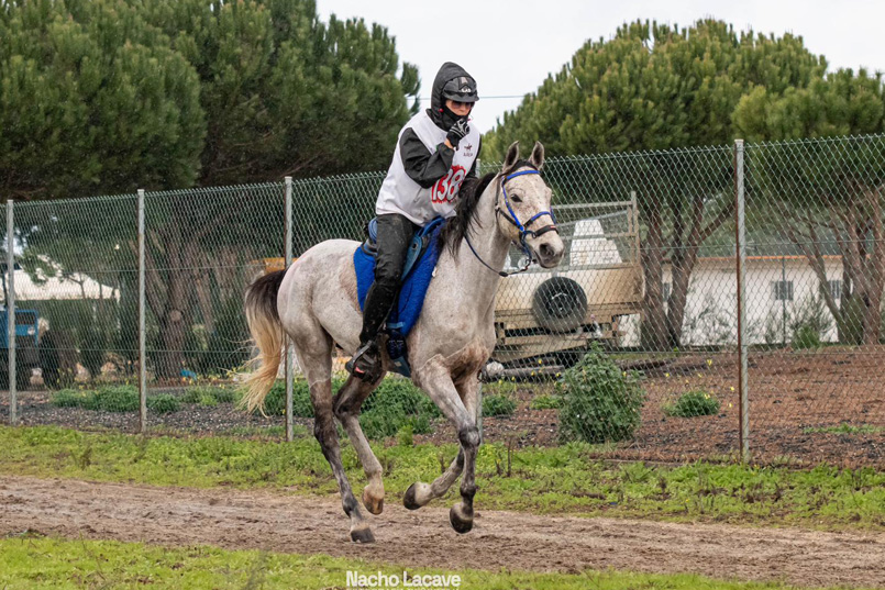 Urso del Garet AA 67,86%