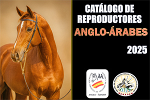 Catálogo Reproductores AÁ