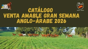 Catálogo Venta Amable